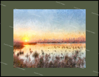 Sunrise at Gordons Pond - Dark Green